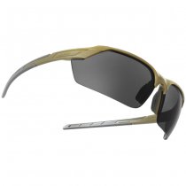 Helikon-Tex TrinRay Glasses Basic Set - Adaptive Green / Smoked